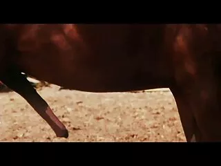 ಸುಳಿವು ಮತ್ತು ಹಿಂದಿ ಭಾರತೀಯ ವೀಡಿಯೊ public_nudity ನಂತರ ಅವರು